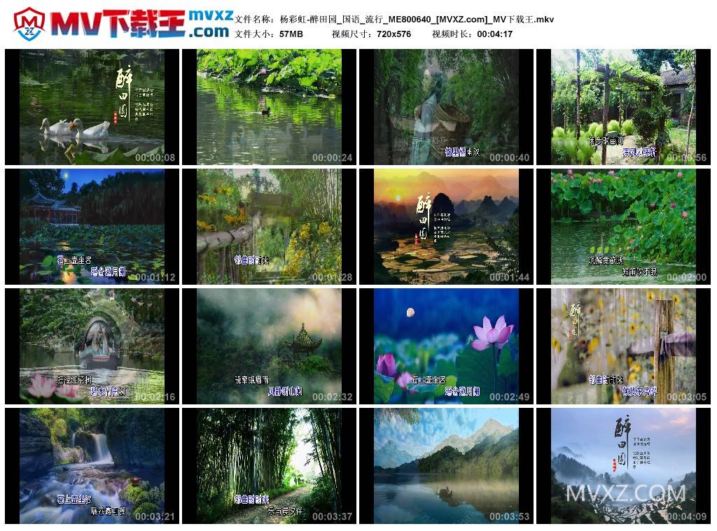 杨彩虹-醉田园_国语_流行_ME800640